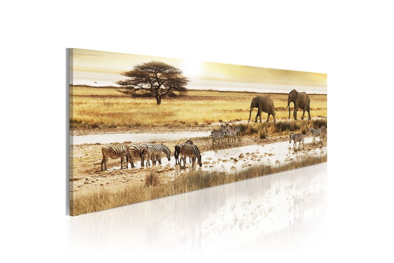 Tavla Africa At The Waterhole 135x45 - Artgeist sp. z o. o. - Inredning - Tavlor & konst - Canvastavlor