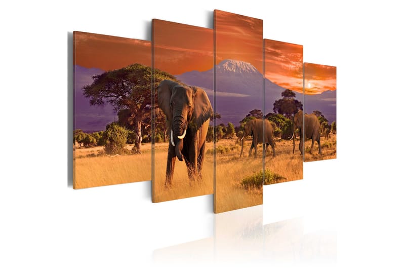 Tavla Africa Elephants 200x100 - Artgeist sp. z o. o. - Inredning - Tavlor & konst - Canvastavlor