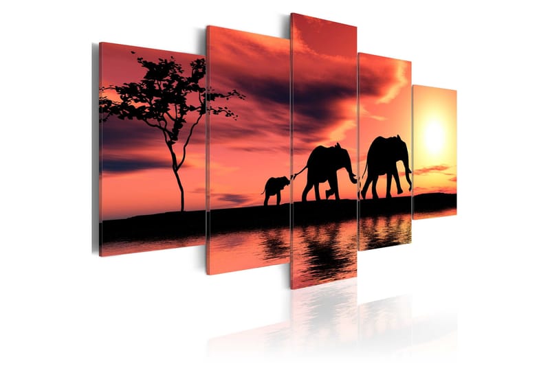 Tavla African Elephants Family 200x100 - Artgeist sp. z o. o. - Inredning - Tavlor & konst - Canvastavlor
