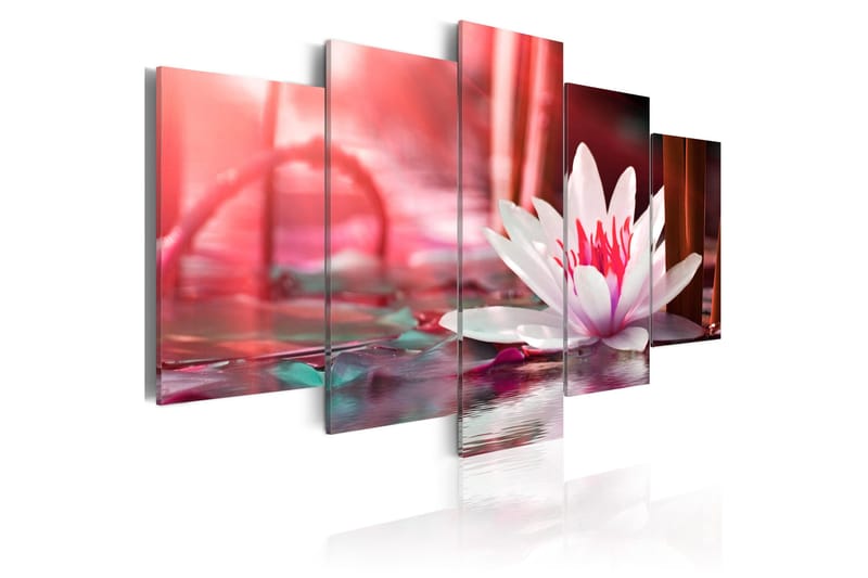 Tavla Amaranthine Lotus 100x50 - Artgeist sp. z o. o. - Inredning - Tavlor & konst - Canvastavlor