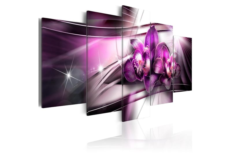 Tavla Amaranthine Tandem 100x50, Artgeist sp. z o. o.