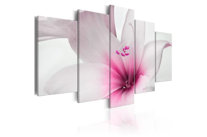 Tavla Amarylis Pink Charm 200x100 - Artgeist sp. z o. o. - Inredning - Tavlor & konst - Canvastavlor