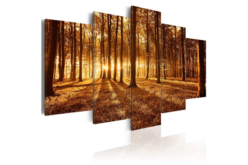 Tavla Amber Forest 100x50, Artgeist sp. z o. o.