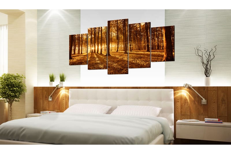 Tavla Amber Forest 100x50 - Artgeist sp. z o. o. - Inredning - Tavlor & konst - Canvastavlor
