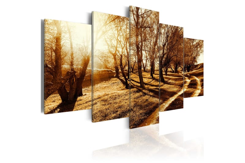Tavla Amber Orchard 200x100, Artgeist sp. z o. o.