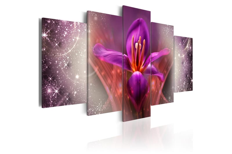 Tavla Among The Stars 100x50 - Artgeist sp. z o. o. - Inredning - Tavlor & konst - Canvastavlor