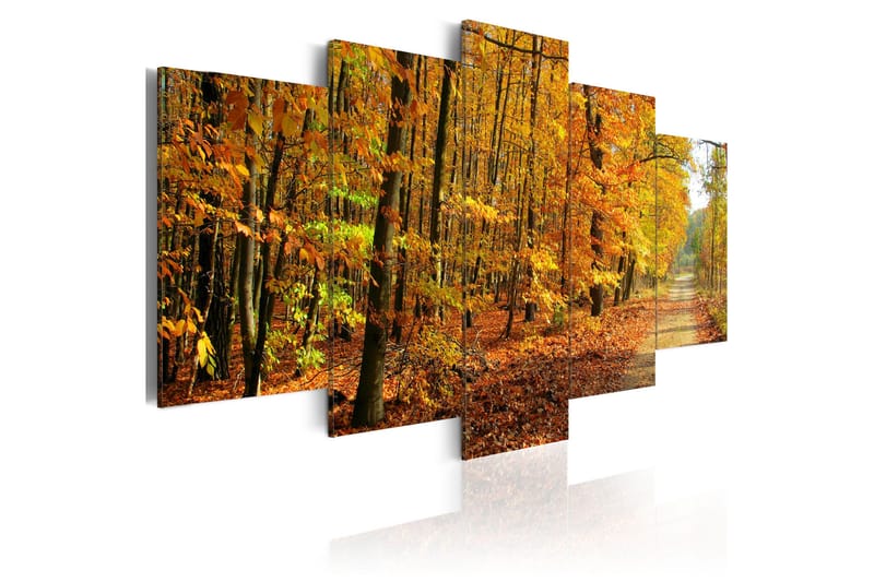 Tavla An Alley Among Colorful Leaves 200x100, Artgeist sp. z o. o.