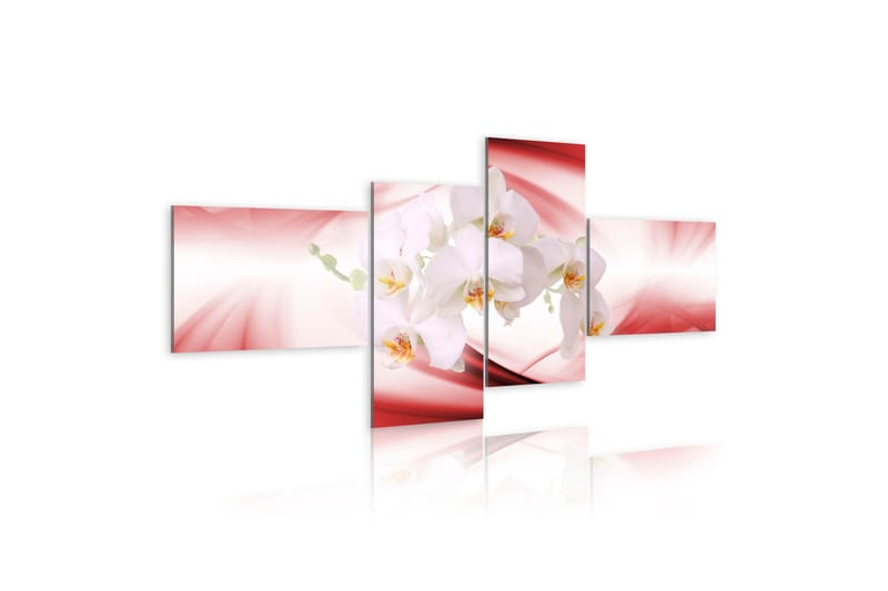 Tavla An Orchid In Pink Shade 100x45 - Artgeist sp. z o. o. - Inredning - Tavlor & konst - Canvastavlor