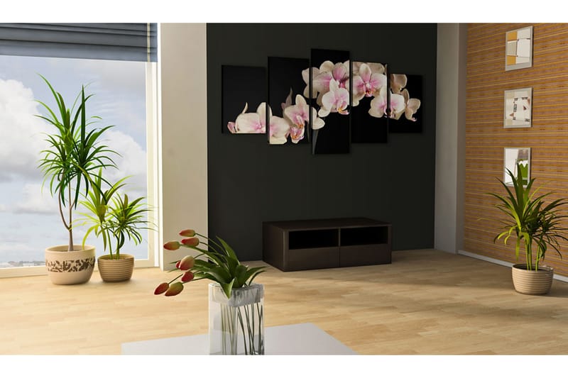 Tavla An Orchid On A Contrasting Background 100x50 - Artgeist sp. z o. o. - Canvastavlor