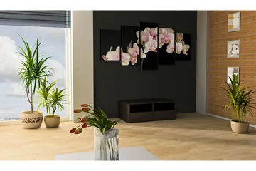 Tavla An Orchid On A Contrasting Background 100x50 - Artgeist sp. z o. o. - Inredning - Tavlor & konst - Canvastavlor