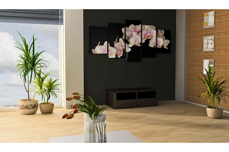 Tavla An Orchid On A Contrasting Background 200x100 - Artgeist sp. z o. o. - Inredning - Tavlor & konst - Canvastavlor