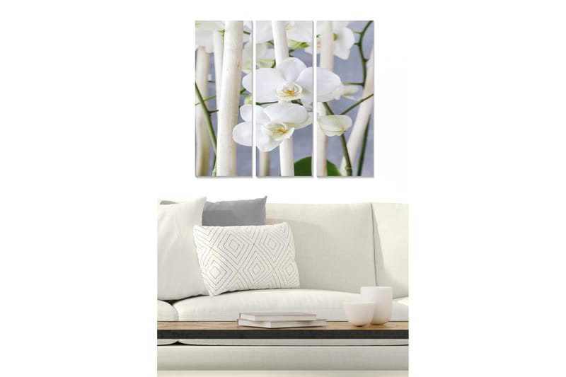 Tavla Animal 3-pack Flerfärgad, 20x50 cm