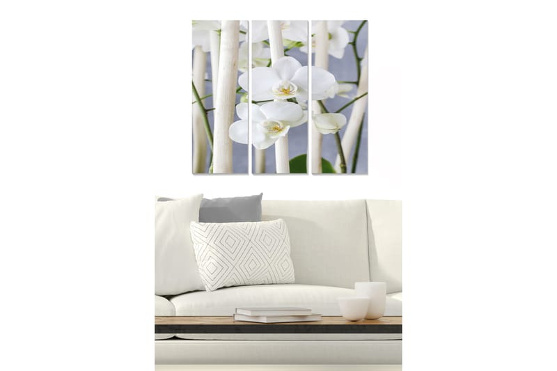 Tavla Animal 3-pack Flerfärgad - 20x50 cm - Inredning - Tavlor & konst - Canvastavlor