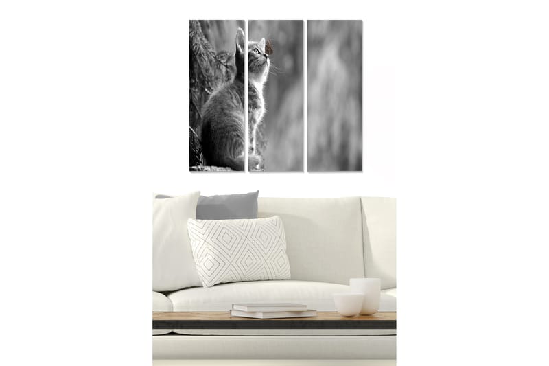Tavla Animal 3-pack Flerfärgad - 20x50 cm - Inredning - Tavlor & konst - Canvastavlor
