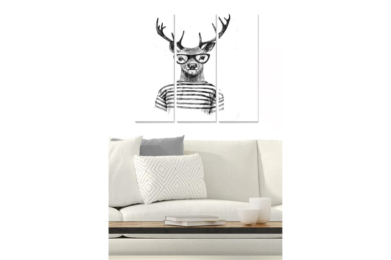 Tavla Animal 3-pack Flerfärgad - 20x50 cm - Inredning - Tavlor & konst - Canvastavlor