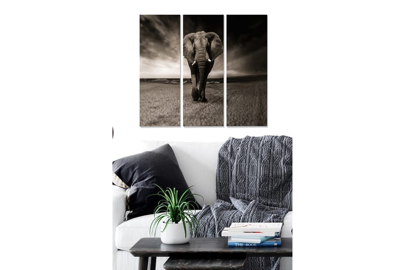 Tavla Animal 3-pack Flerfärgad - 20x50 cm - Inredning - Tavlor & konst - Canvastavlor
