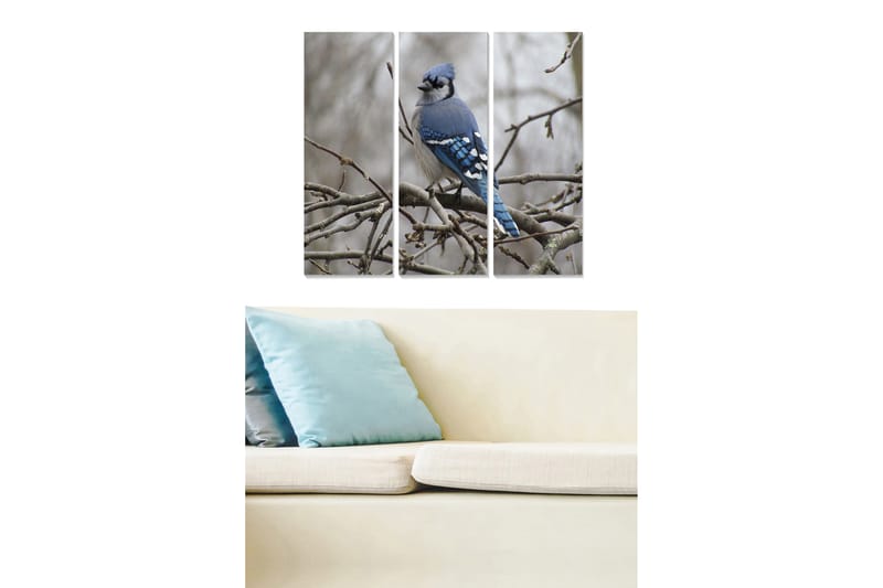 Tavla Animal 3-pack Flerfärgad - 20x50 cm - Inredning - Tavlor & konst - Canvastavlor