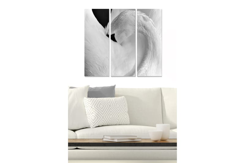 Tavla Animal 3-pack Flerfärgad - 20x50 cm - Inredning - Tavlor & konst - Canvastavlor