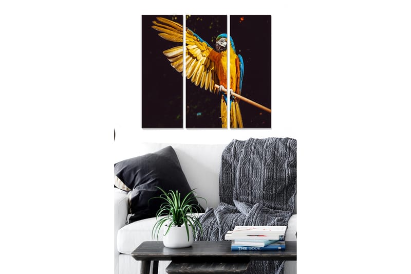 Tavla Animal 3-pack Flerfärgad - 20x50 cm - Inredning - Tavlor & konst - Canvastavlor