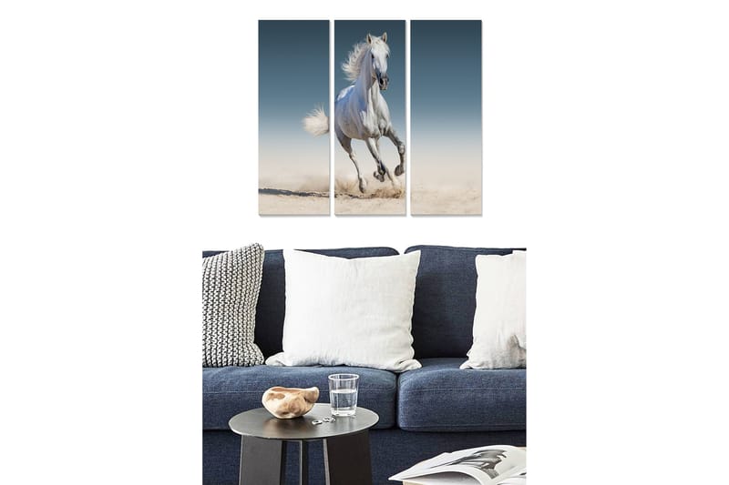 Tavla Animal 3-pack Flerfärgad, 20x50 cm