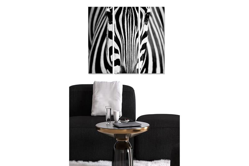 Tavla Animal 3-pack Flerfärgad - 20x50 cm - Inredning - Tavlor & konst - Canvastavlor