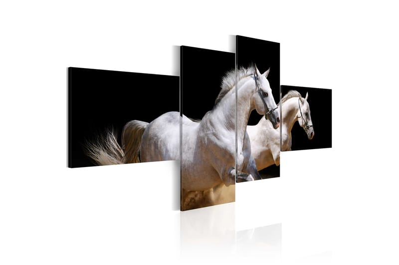 Tavla Animal World- White Horses Galloping 100x45 - Artgeist sp. z o. o. - Canvastavlor