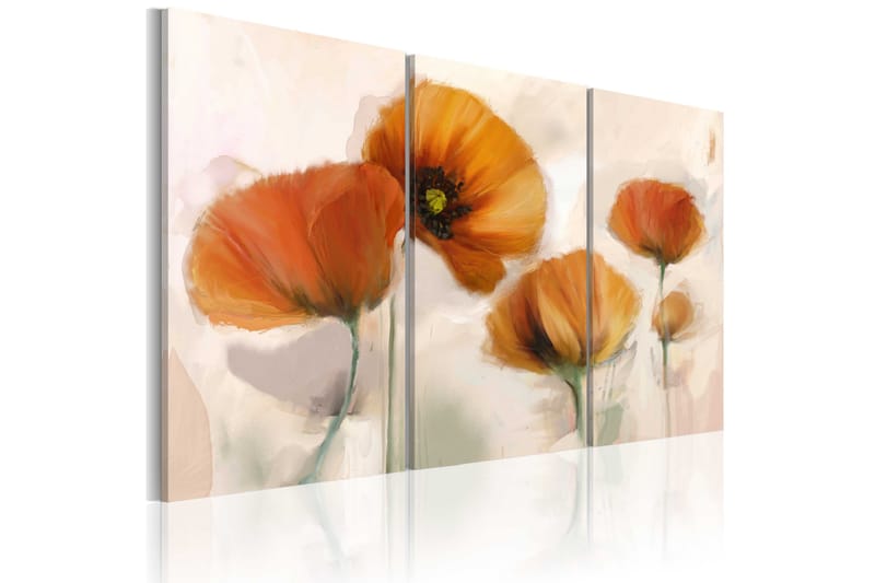 Tavla Artistic Poppies Triptych 60x40 - Artgeist sp. z o. o. - Canvastavlor