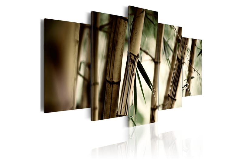 Tavla Asian Bamboo Forest 200x100 - Artgeist sp. z o. o. - Inredning - Tavlor & konst - Canvastavlor