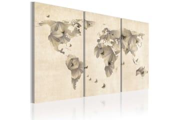 Tavla Atlas Of Fjärilar Triptych 120x80