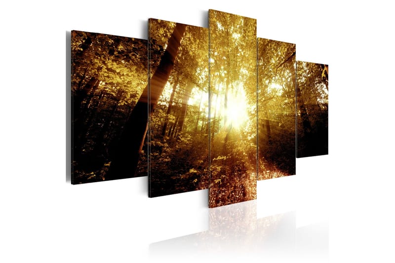 Tavla Autumn Forest 100x50, Artgeist sp. z o. o.
