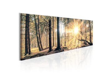 Tavla Autumn Retreat 120x40
