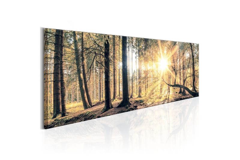 Tavla Autumn Retreat 135x45, Artgeist sp. z o. o.