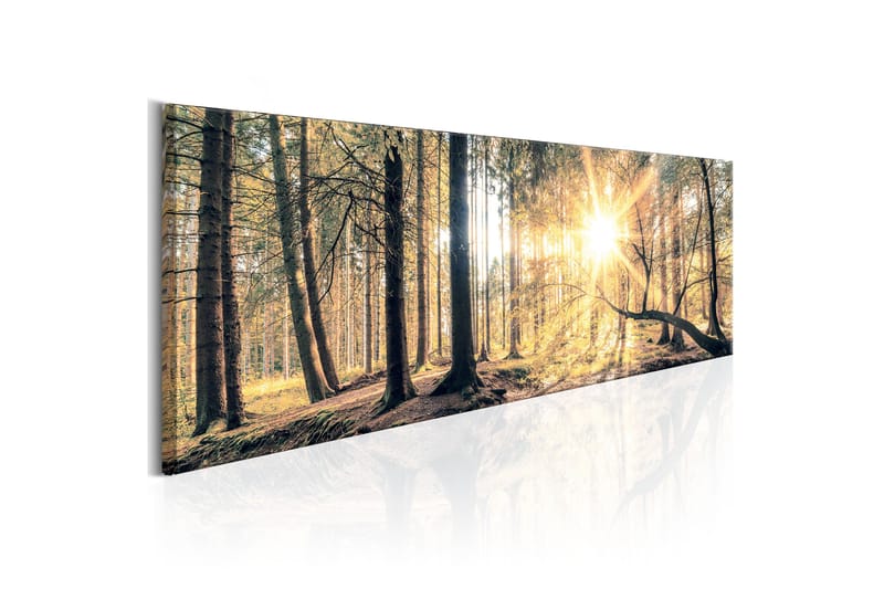 Tavla Autumn Retreat 150x50 - Artgeist sp. z o. o. - Inredning - Tavlor & konst - Canvastavlor