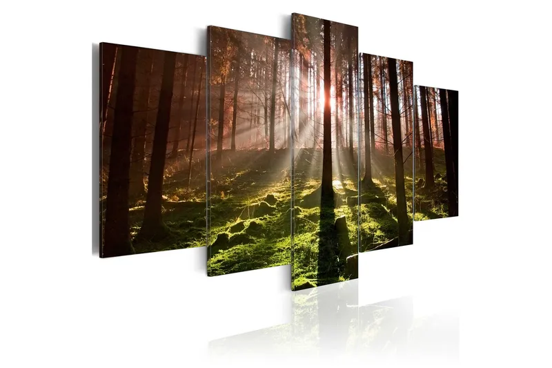 Tavla Autumn Silence 100x50 - Artgeist sp. z o. o. - Inredning - Tavlor & konst - Canvastavlor