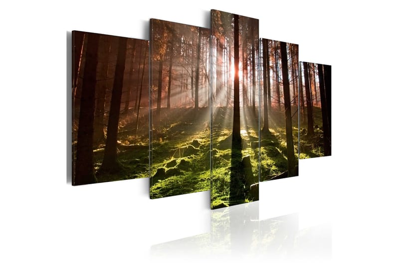 Tavla Autumn Silence 100x50, Artgeist sp. z o. o.