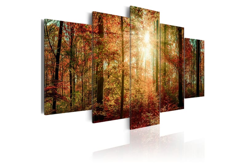 Tavla Autumn Wilderness 200x100 - Artgeist sp. z o. o. - Canvastavlor