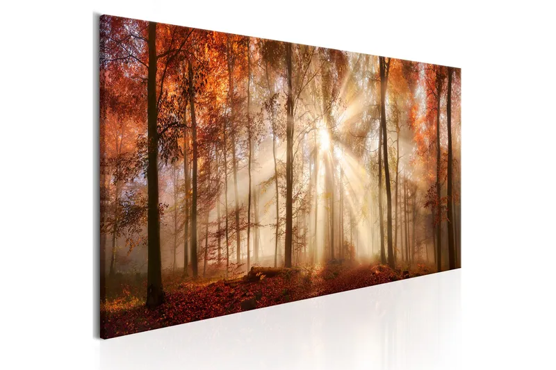 Tavla Autumnal Dawn 150x50, Artgeist sp. z o. o.