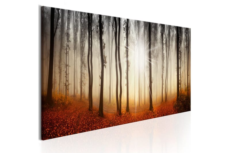 Tavla Autumnal Fog 120x40, Artgeist sp. z o. o.