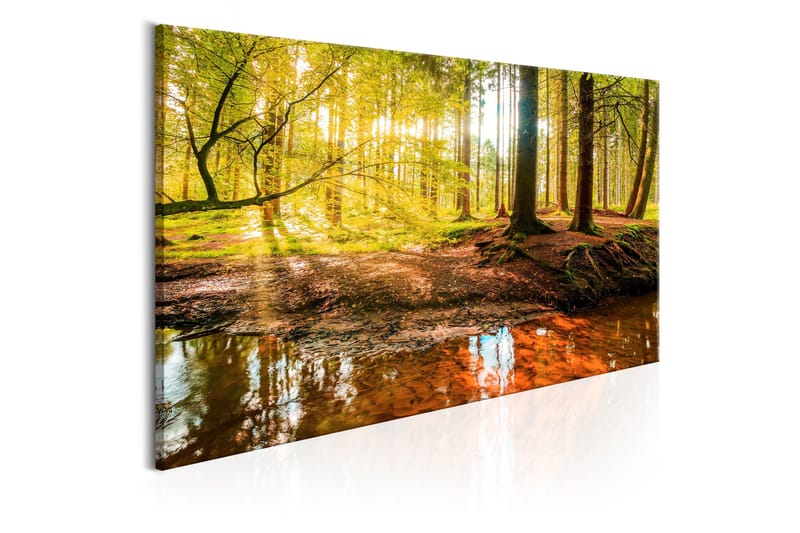 Tavla Autumnal Reverie 120x60 - Artgeist sp. z o. o. - Inredning - Tavlor & konst - Canvastavlor