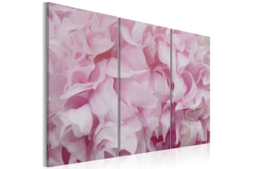 Tavla Azalea i rosa 90x60