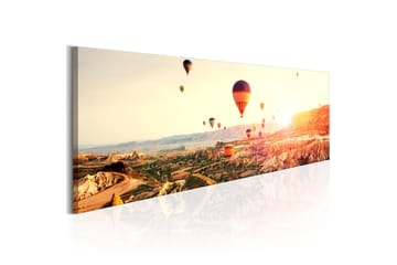 Tavla Balloon Rides 120x40