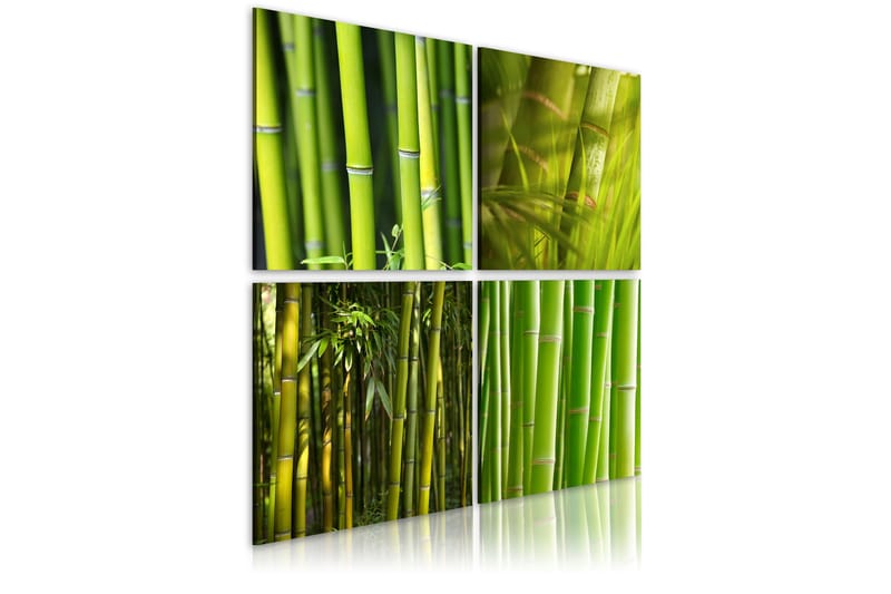 Tavla Bambu 80x80 - Artgeist sp. z o. o. - Canvastavlor
