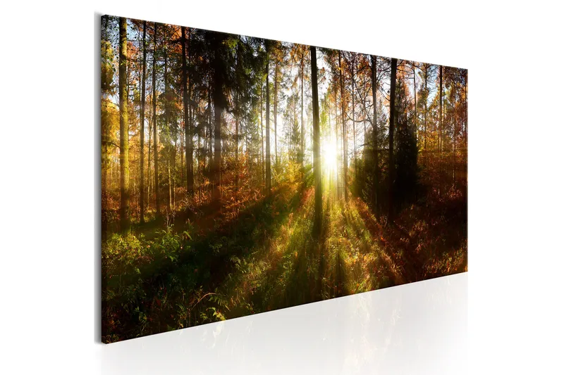Tavla Beautiful Forest 135x45, Artgeist sp. z o. o.
