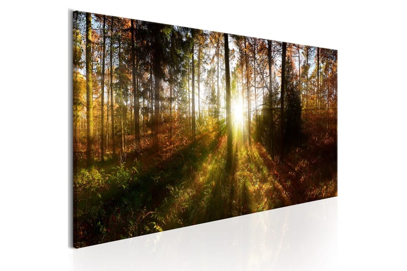 Tavla Beautiful Forest 135x45, Artgeist sp. z o. o.
