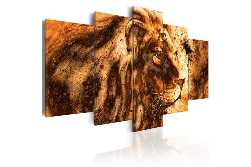 Tavla Beautiful Lion 100x50 - Artgeist sp. z o. o. - Canvastavlor