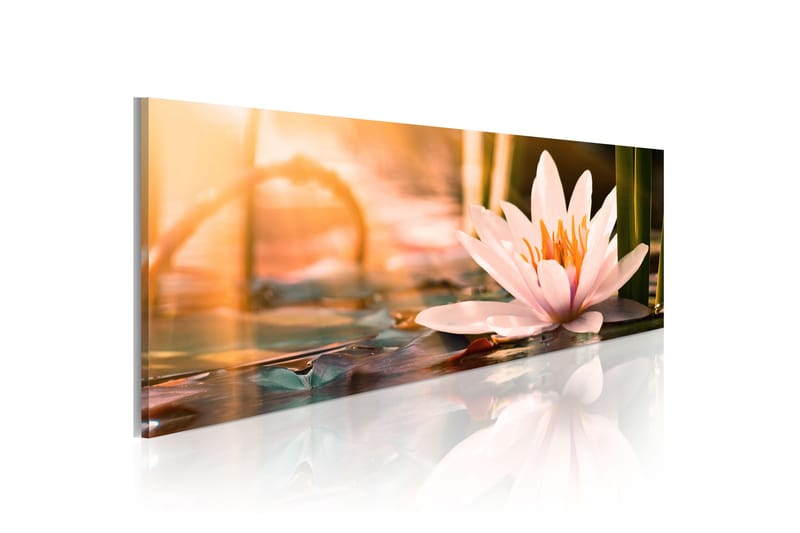 Tavla Beautiful Lotus 150x50 - Artgeist sp. z o. o. - Inredning - Tavlor & konst - Canvastavlor