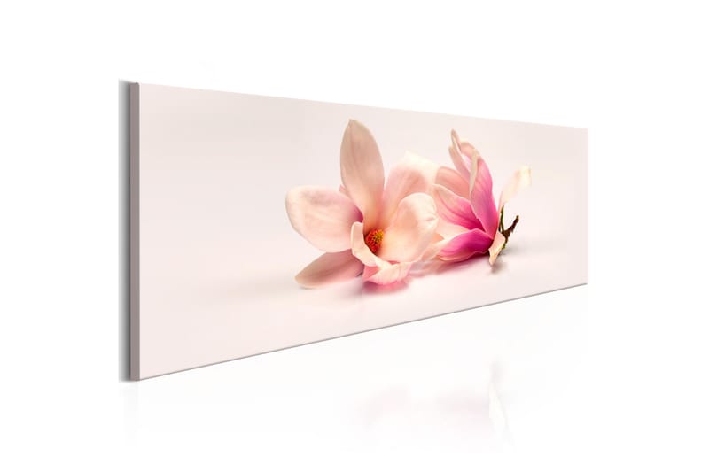Tavla Beautiful Magnolias 120x40 - Artgeist sp. z o. o. - Inredning - Tavlor & konst - Canvastavlor