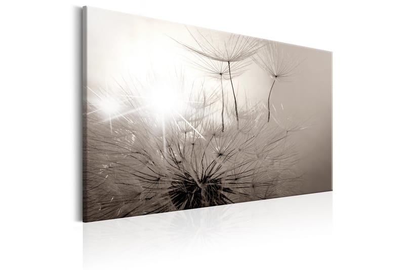Tavla Beautiful Summer: Dandelions 120x80 - Artgeist sp. z o. o. - Inredning - Tavlor & konst - Canvastavlor