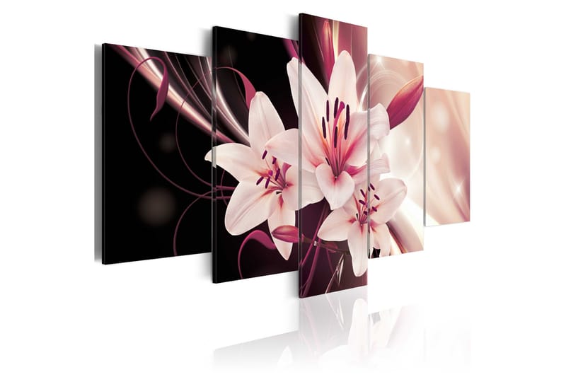 Tavla Beauty Mystery 100x50 - Artgeist sp. z o. o. - Inredning - Tavlor & konst - Canvastavlor
