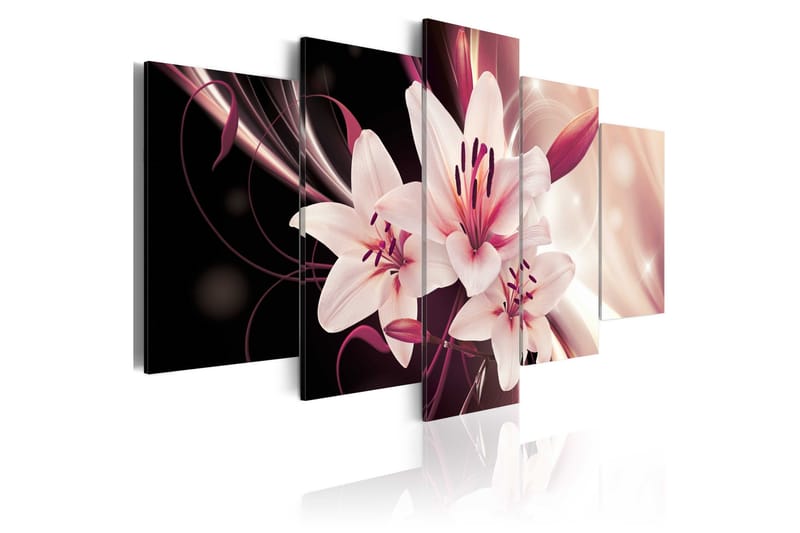 Tavla Beauty Mystery 100x50 - Artgeist sp. z o. o. - Inredning - Tavlor & konst - Canvastavlor
